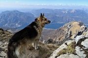 In GRIGNETTA (2177 m) ad anello Cresta Cermenati – Sentiero delle Capre dal Pian dei Resinelli il 27 marzo 2019 - FOTOGALLERY